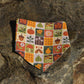 Cozy Autumn - CLIPS