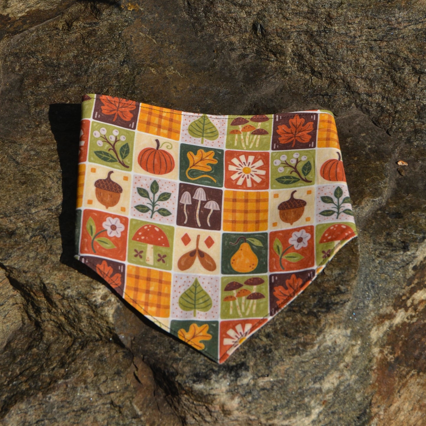 Cozy Autumn - CLIPS