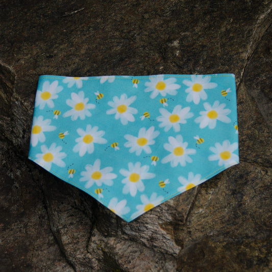 Honey Meadow - CLIPS