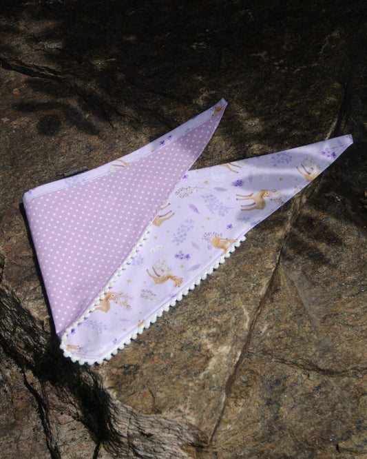 Whimsy Woodland