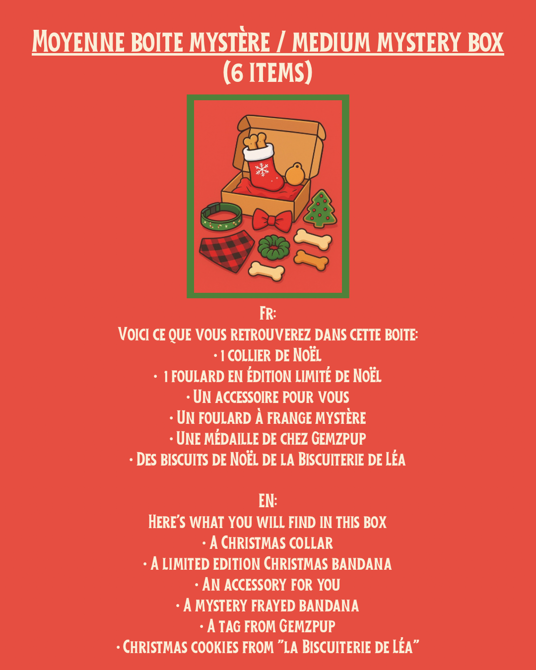 Moyenne boite mystère pour chien | Dog medium mystery box