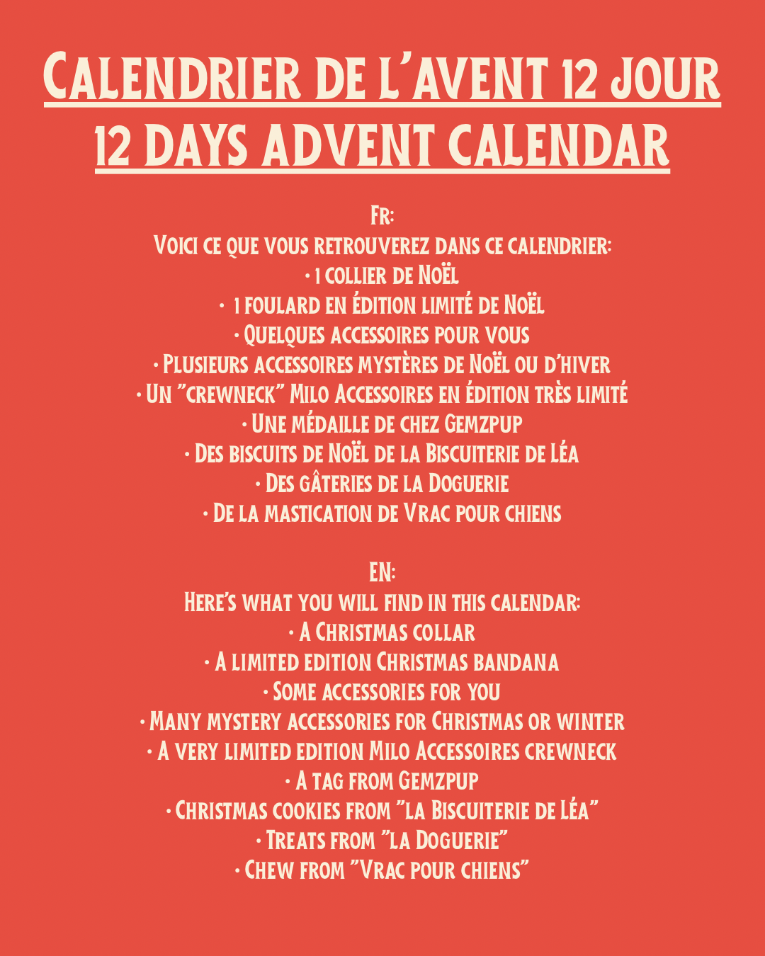 Calendrier de l'Avent pour chien | Dog Christmas Advent calendar
