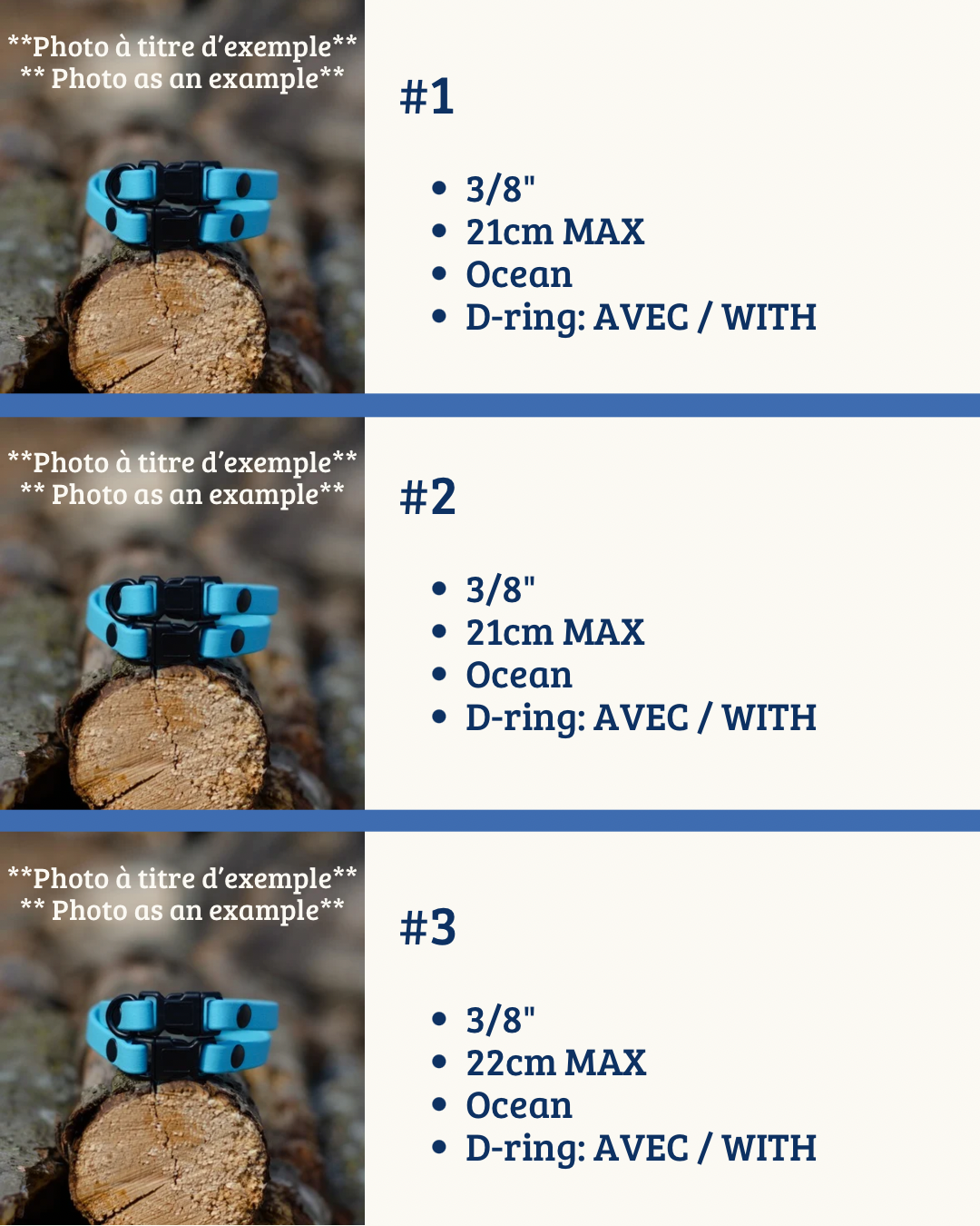 Colliers pour chats | Cats collars