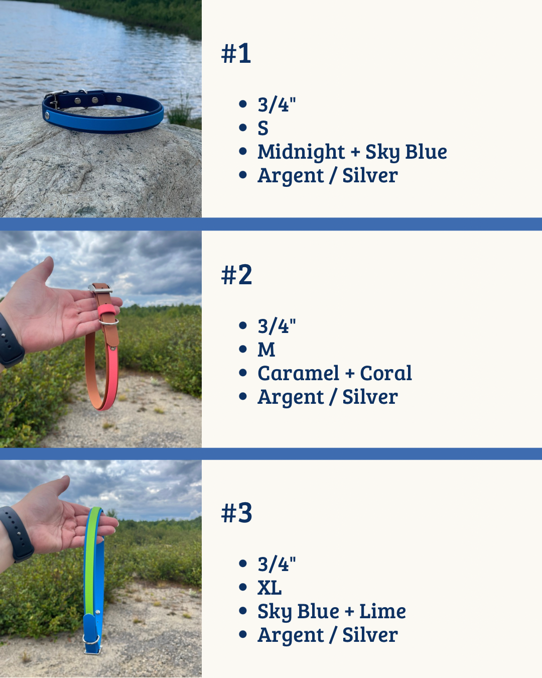 Colliers avec bande | Collars with layer