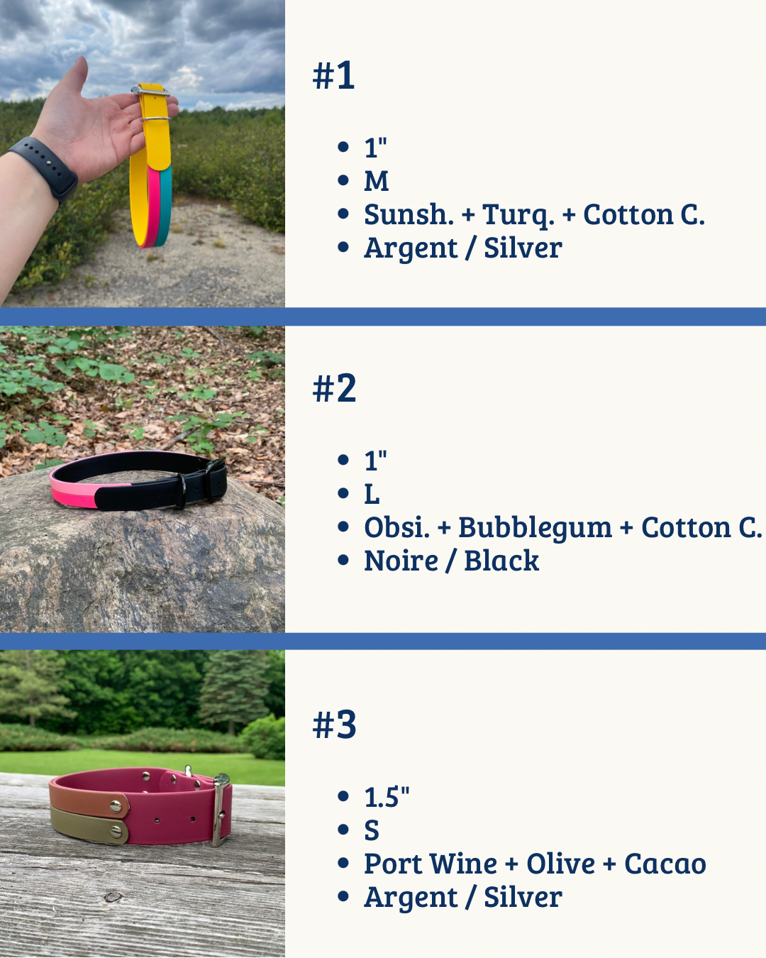 Colliers avec deux bandes | Collars with two layers