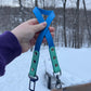 Laisse pour voiture 2 couleurs | 2 colors car leash
