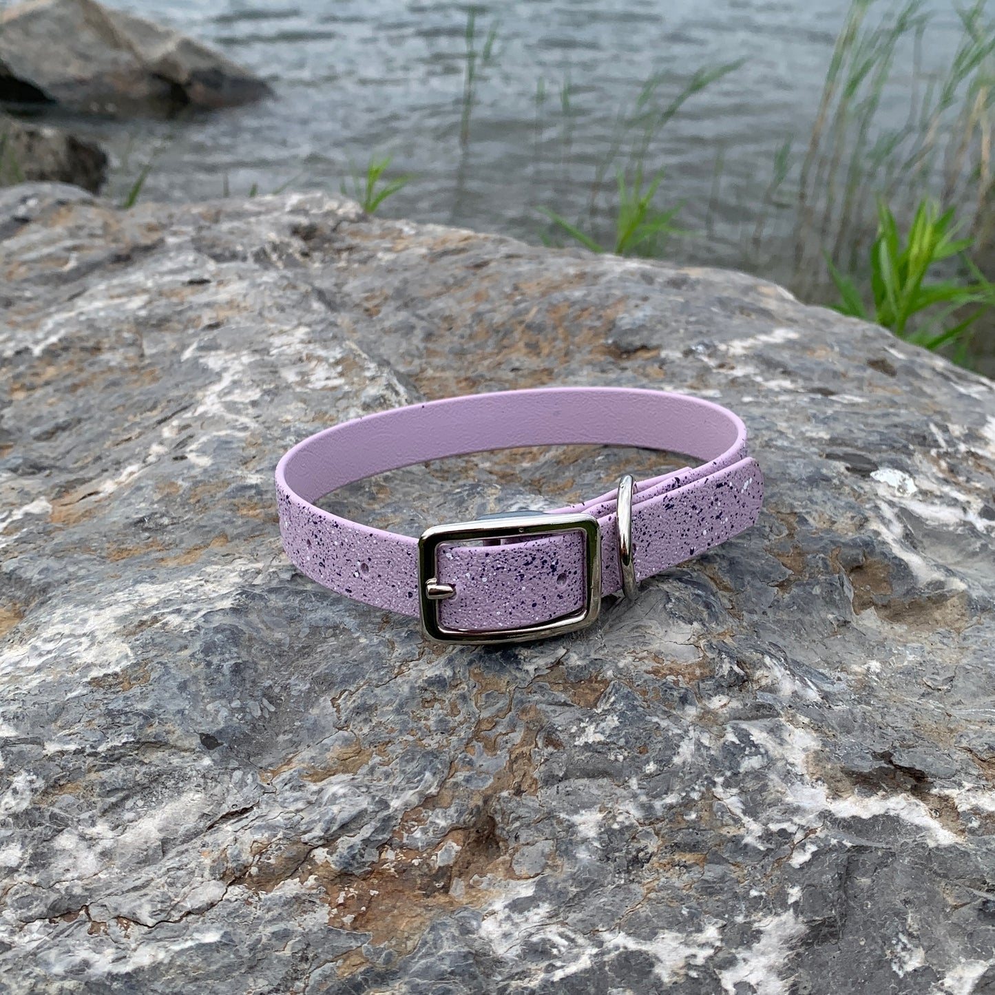 Speckled - Collier standard | Standard collar (3/4)