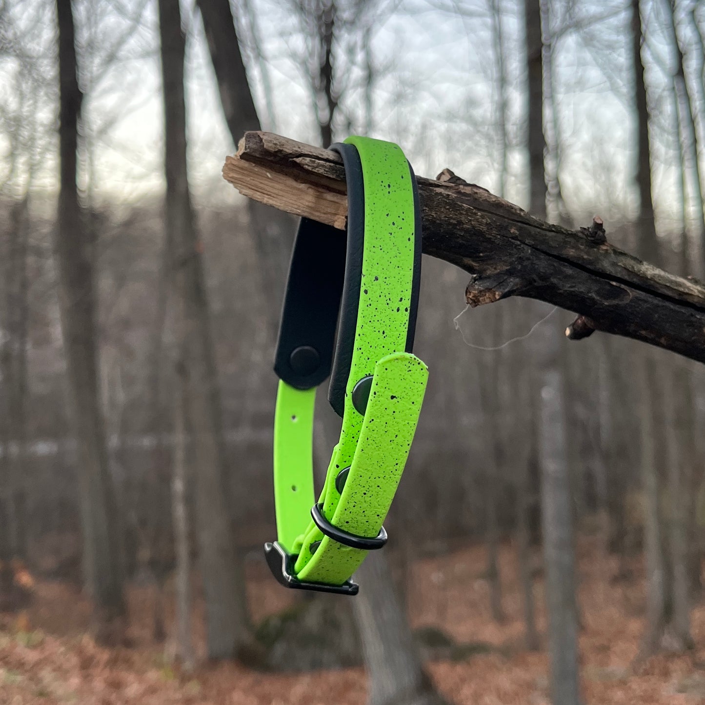 Speckled - Doublé 3/4" | With 3/4" double layer (1/2)