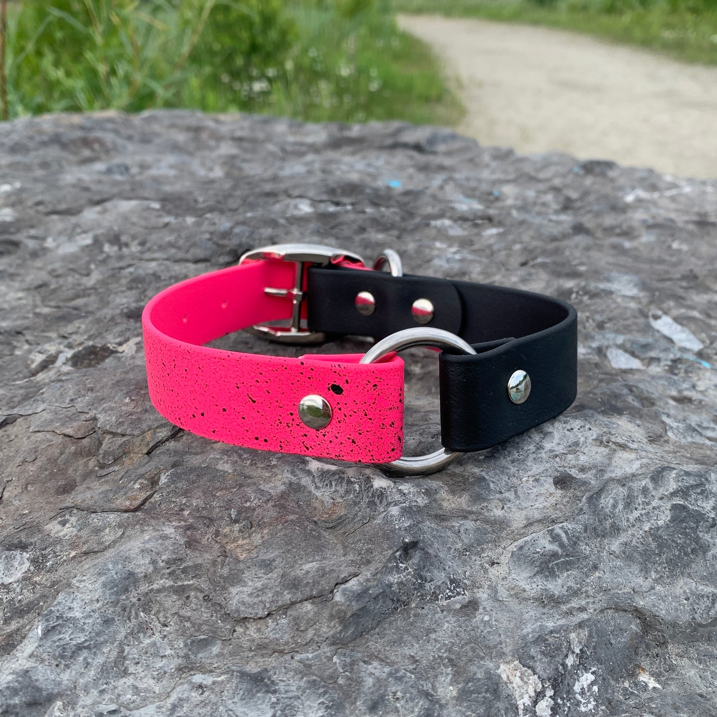 Speckled - Chasse | Hunting (1)