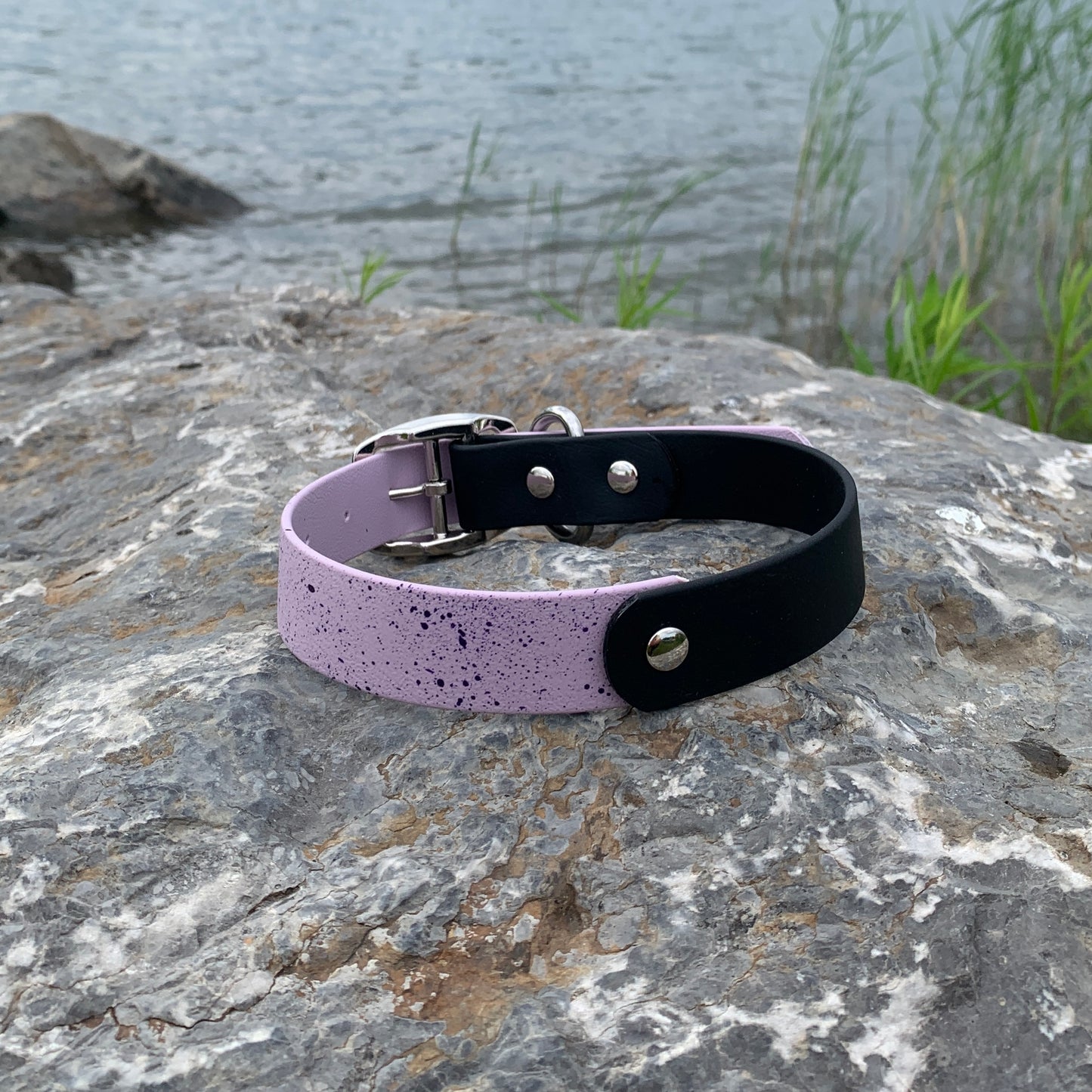 Speckled - Moitié-moitié | Half-half (1)