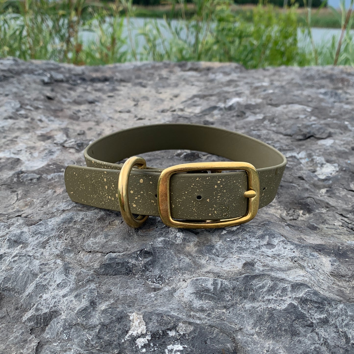 Speckled - Collier standard | Standard collar (1)