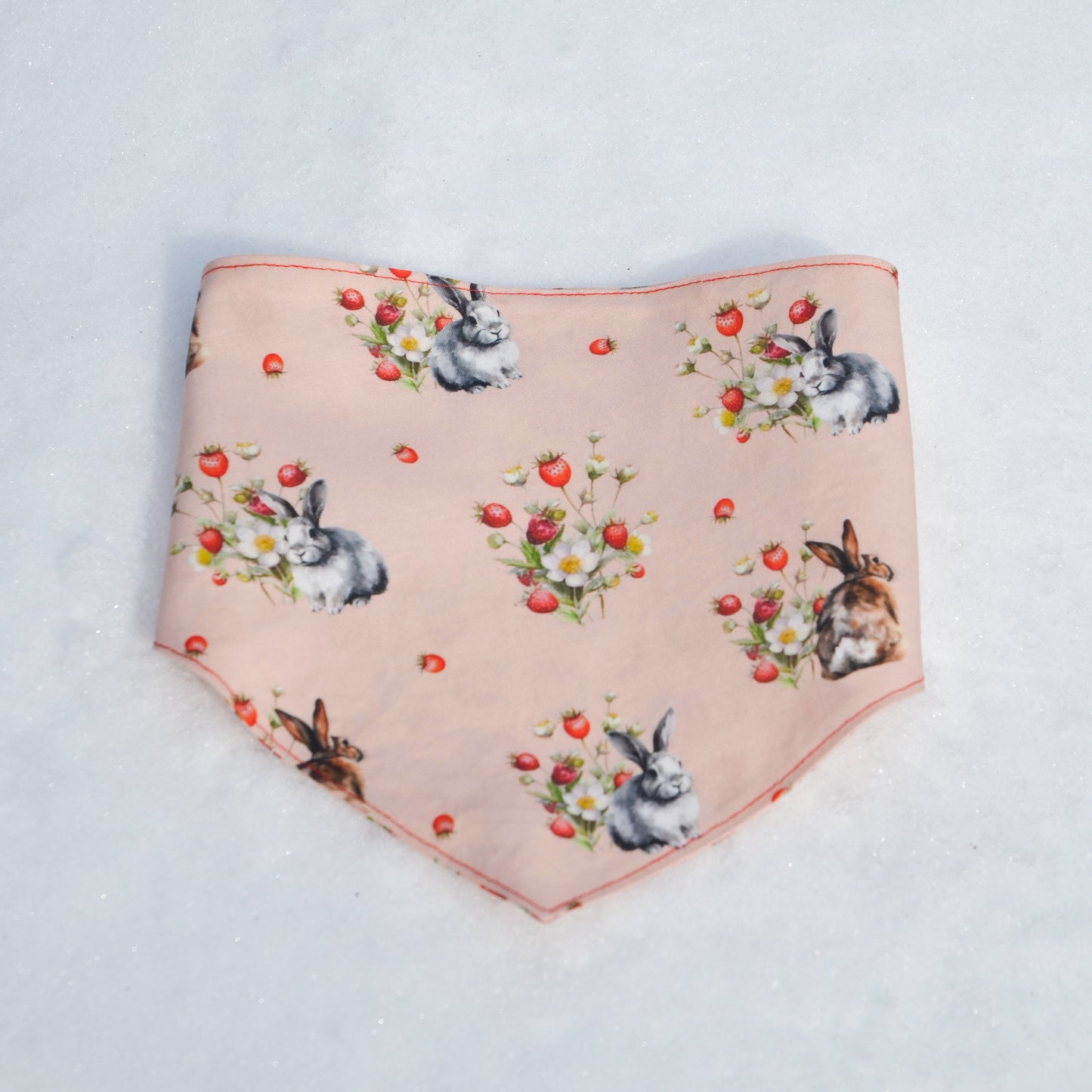 Strawberry Bunnies - CLIPS