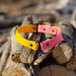 Collier 2 couleurs | 2 colors collar (1)