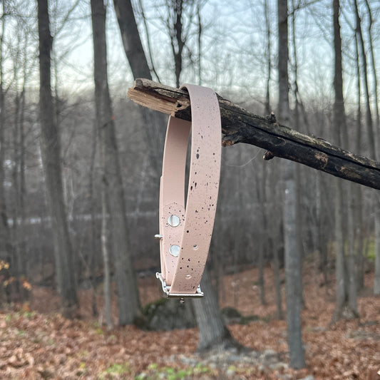 Speckled - Collier standard | Standard collar (3/4)
