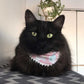 Grandma's Cat