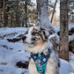 Prancer