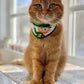 Leprechaun