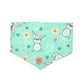 Turquoise Bunny - Clips