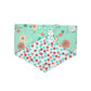 Turquoise Bunny - Clips